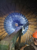 Strudex SAG Mill Liners – The Sustainable Choice for Peak Grinding Performance 